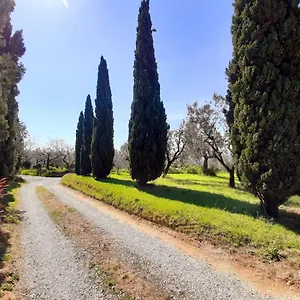  Vakantiehuis Il Palagio Italië